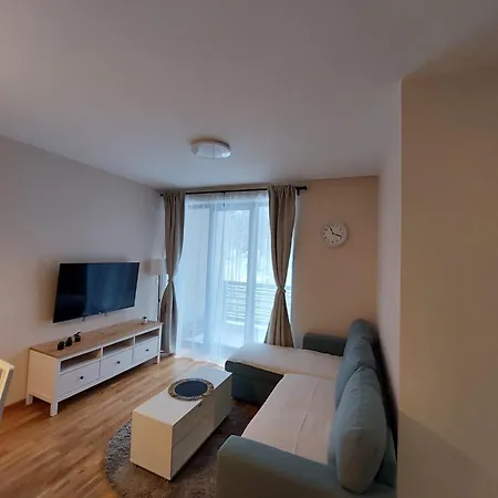 Apartment Dordevic Elsa 4 Zlatibor