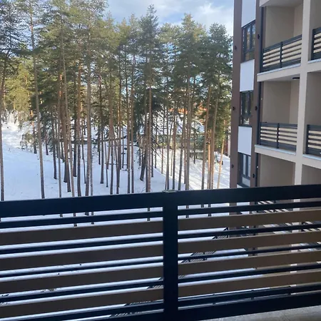 Apartment Dordevic Elsa 4 *