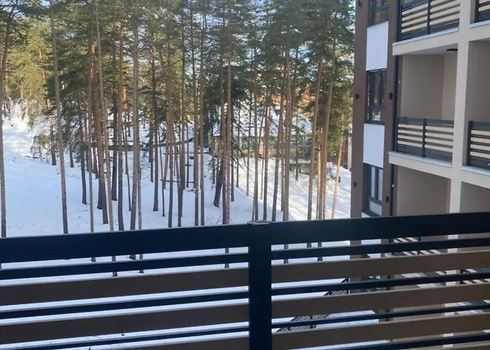 Apartment Dordevic Elsa 4 *